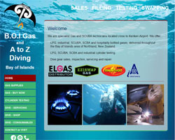 B.O.I Gas and A to Z Diving