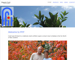 FFIT Ltd